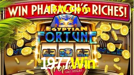 Design Responsivo 1977Win